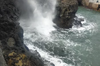 1661793509113