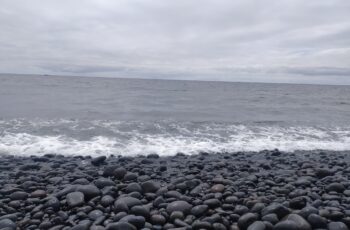 1661793886497